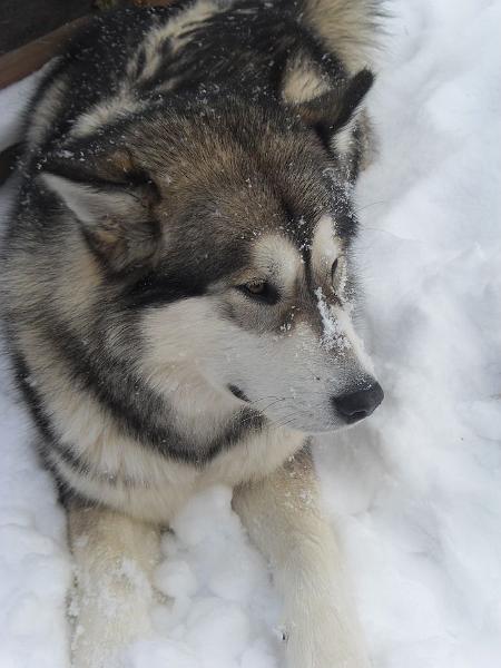 scout 12-2010 11.jpg